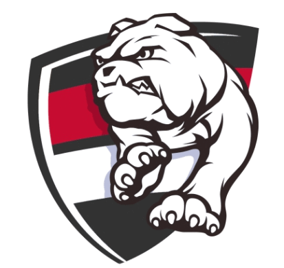 Alberni Valley Bulldogs Logo 3rd Jersey 2019-2020