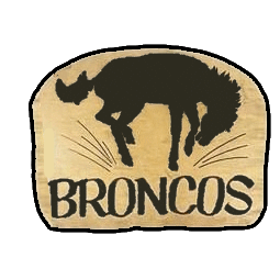 Penticton Broncos 1977-78