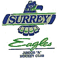 Surrey Eagles 1991-96