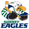 Surrey Eagles 2003-
