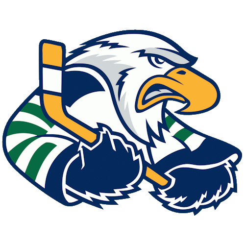 Surrey Eagles 2003-